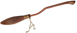 Picture of a Nimbus 2000